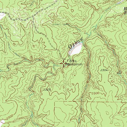 Topographic Map of Forks Windmill, TX