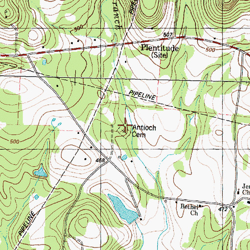 Topographic Map of Fort Houston Cemetery, TX
