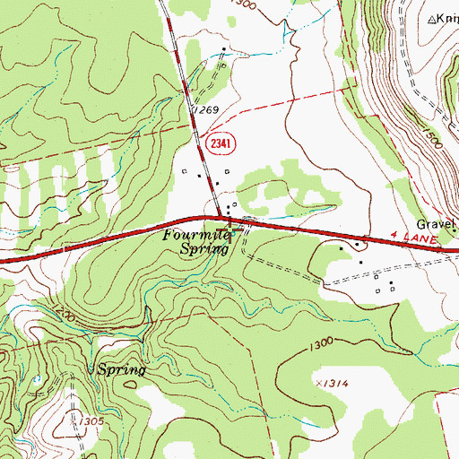 Topographic Map of Fourmile Spring, TX