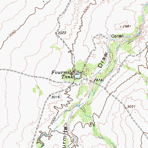 Topographic Map of Fourmile Tank, TX
