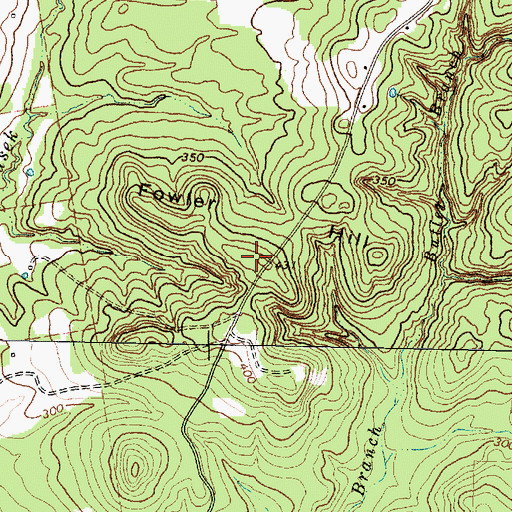 Topographic Map of Fowler Hill, TX