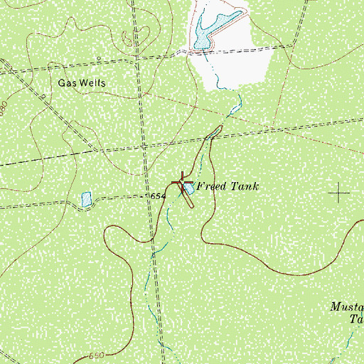 Topographic Map of Freed Tank, TX