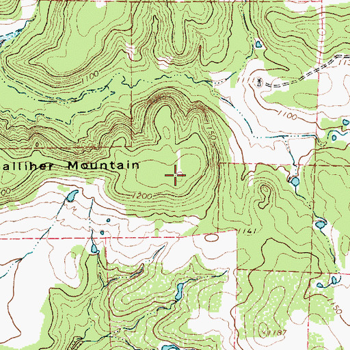 Topographic Map of Galliher Mountain, TX