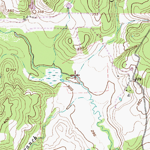 Topographic Map of Garner Branch, TX