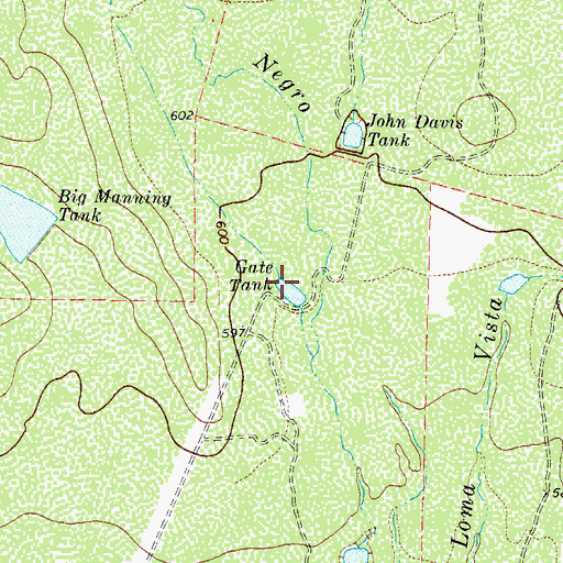 Topographic Map of Gate Tank, TX