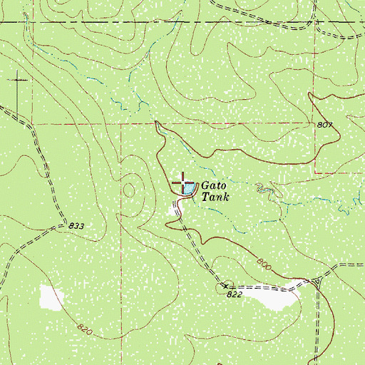 Topographic Map of Gato Tank, TX