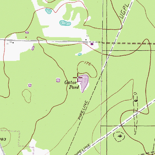 Topographic Map of Gator Pond, TX