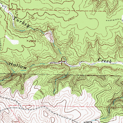 Topographic Map of Gay Hollow, TX