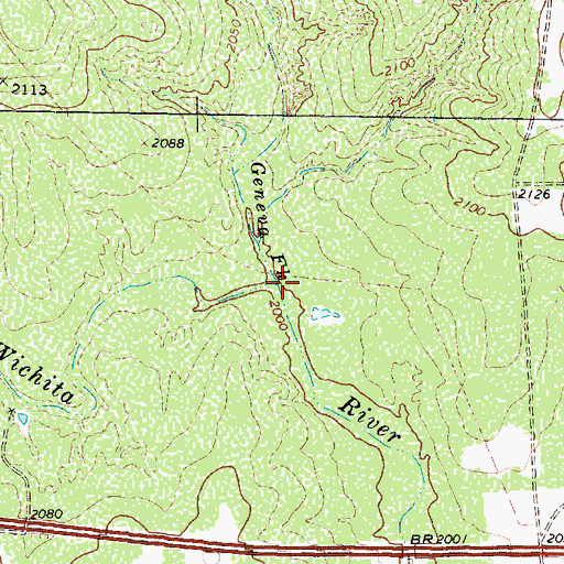 Topographic Map of Geneva Fork, TX
