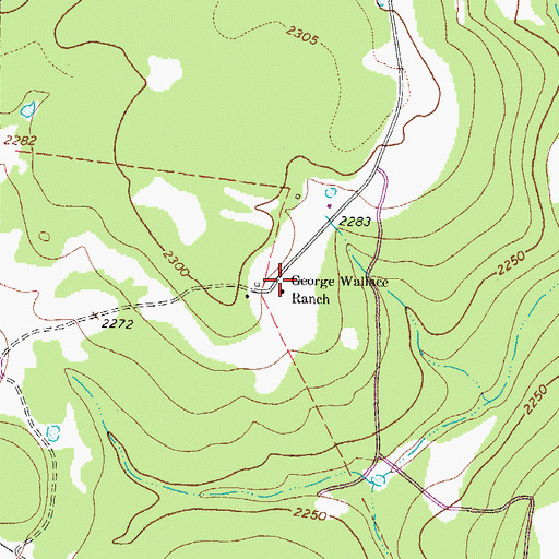 Topographic Map of George Wallace Ranch, TX