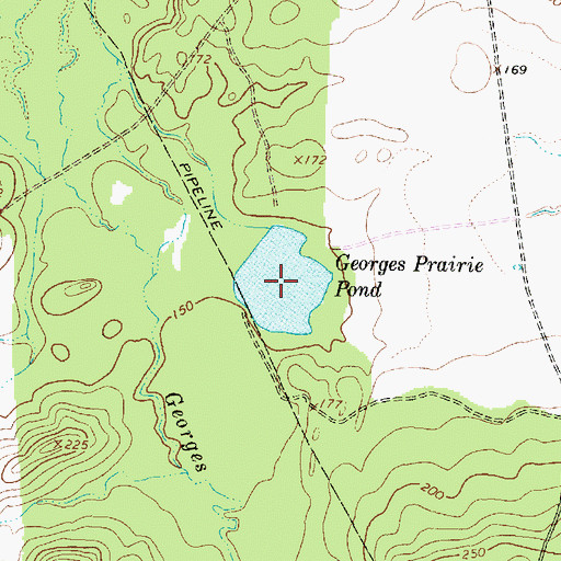 Topographic Map of Georges Prairie Pond, TX