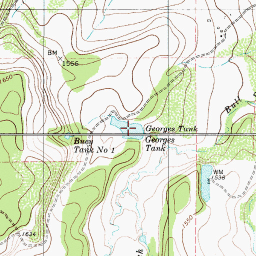 Topographic Map of Georges Tank, TX