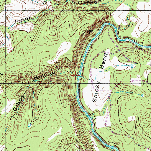 Topographic Map of Gibbs Hollow, TX