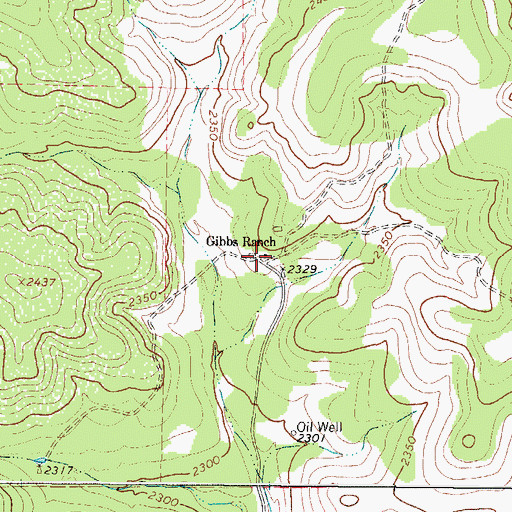 Topographic Map of Gibbs Ranch, TX