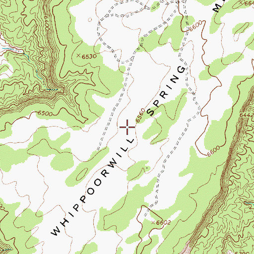 Topographic Map of Whippoorwill Spring Mesa, AZ