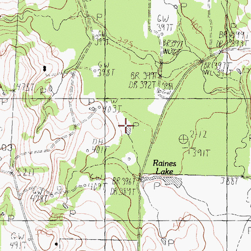 Topographic Map of Gileon Lake, TX