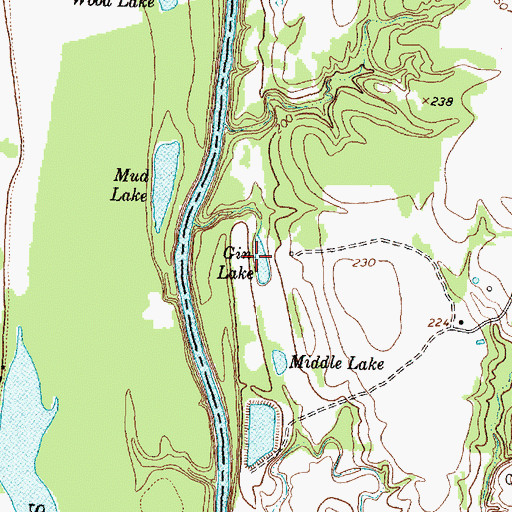 Topographic Map of Gin Lake, TX