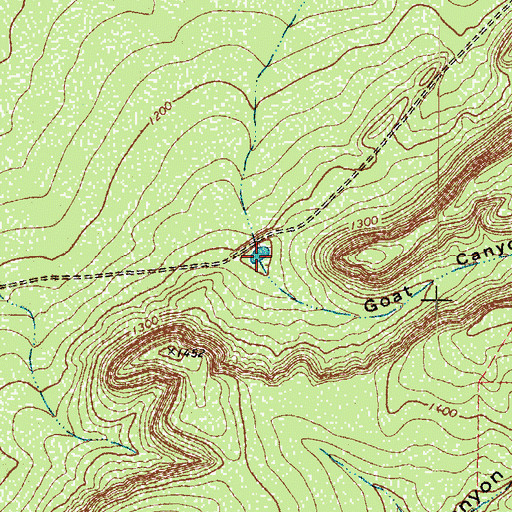 Topographic Map of Goat Canyon, TX