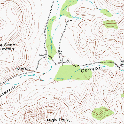 Topographic Map of Goat Canyon, TX