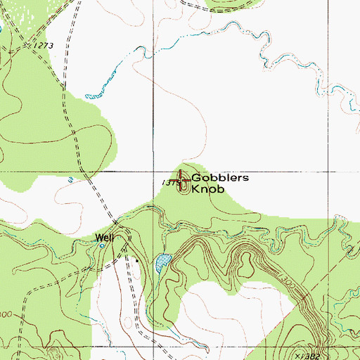Topographic Map of Gobblers Knob, TX