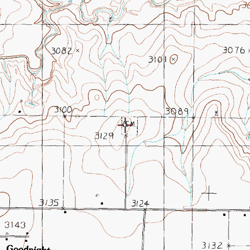 Topographic Map of Goodnight Cemetery, TX