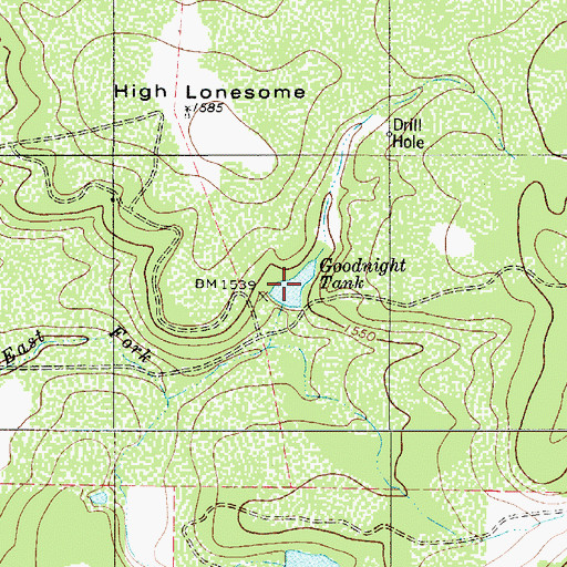 Topographic Map of Goodnight Tank, TX
