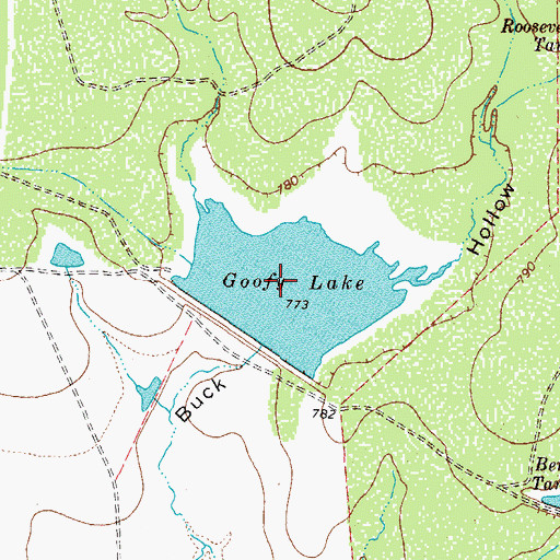 Topographic Map of Goofy Lake, TX