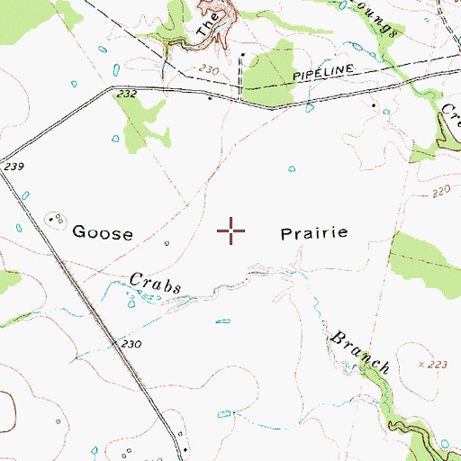 Topographic Map of Goose Prairie, TX