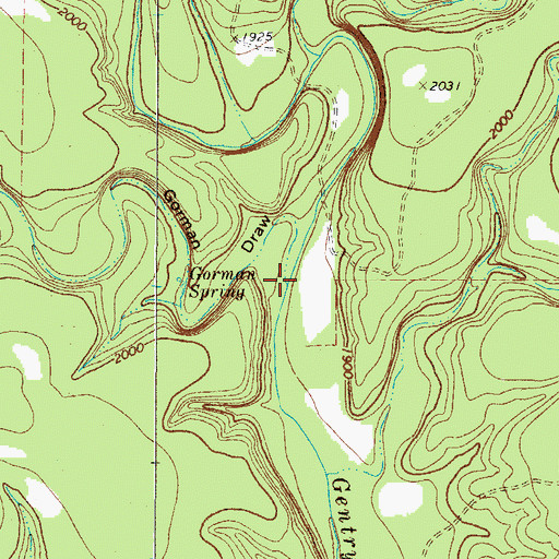 Topographic Map of Gorman Draw, TX