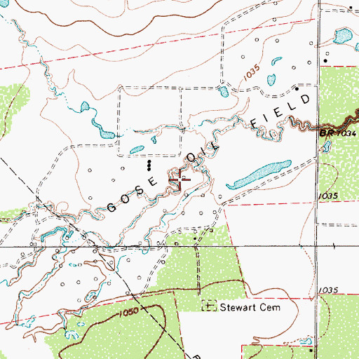 Topographic Map of Gose Oil Field, TX