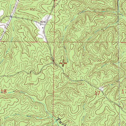 Topographic Map of Tallapoosa River Hunting Club, AL