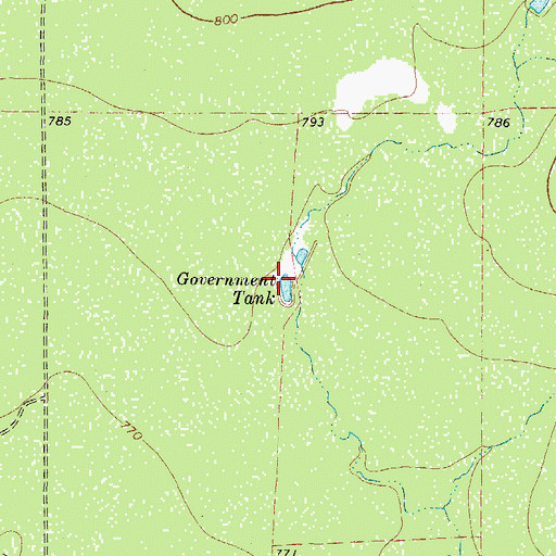 Topographic Map of Government Tank, TX