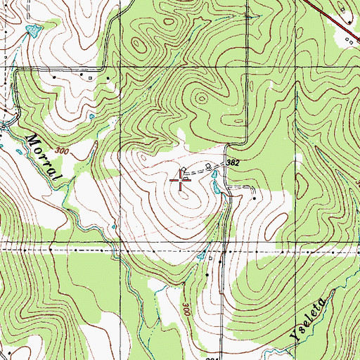 Topographic Map of Goyen Memorial, TX