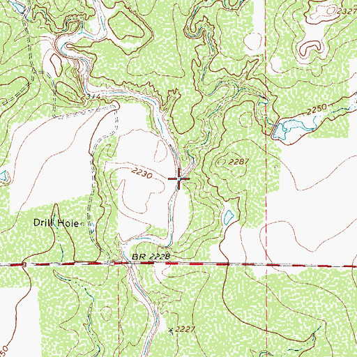 Topographic Map of Grapevine Branch, TX