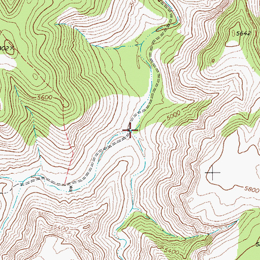 Topographic Map of Grapevine Canyon, TX