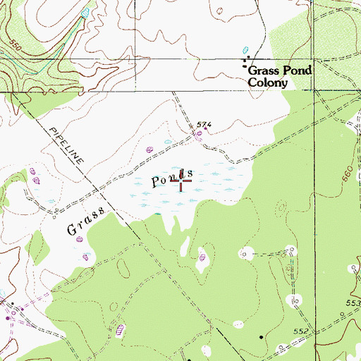 Topographic Map of Grass Ponds, TX