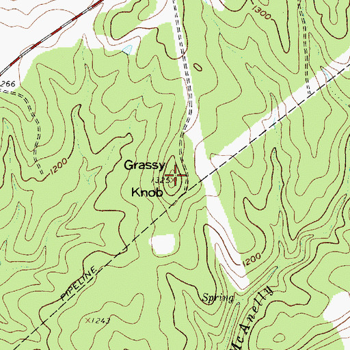 Topographic Map of Grassy Knob, TX