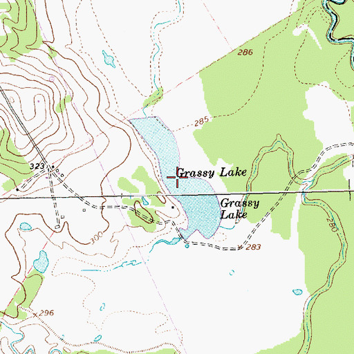 Topographic Map of Grassy Lake, TX