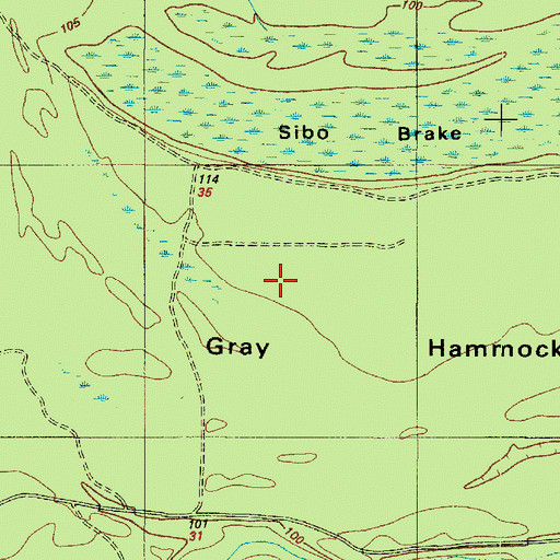 Topographic Map of Gray Hammock, TX