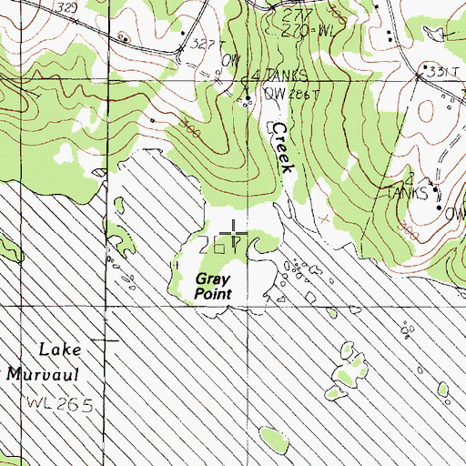 Topographic Map of Gray Point, TX