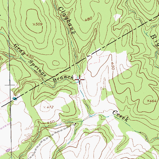 Topographic Map of Gray Springs Branch, TX