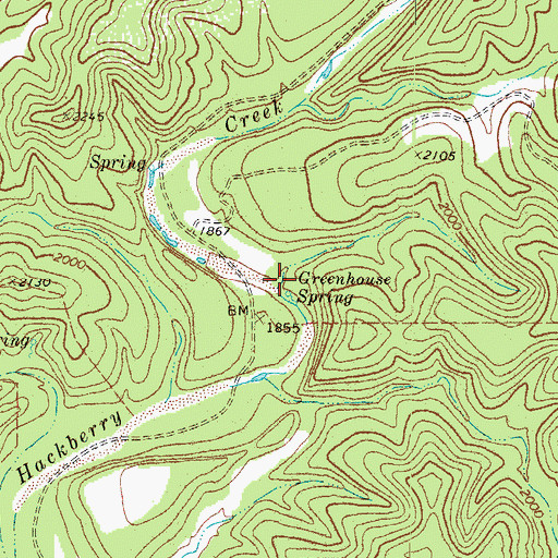 Topographic Map of Greenhouse Spring, TX