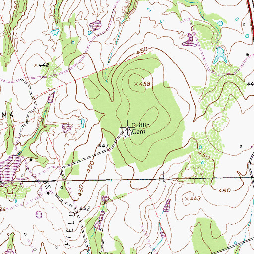 Topographic Map of Griffin Chapel Cemetery, TX