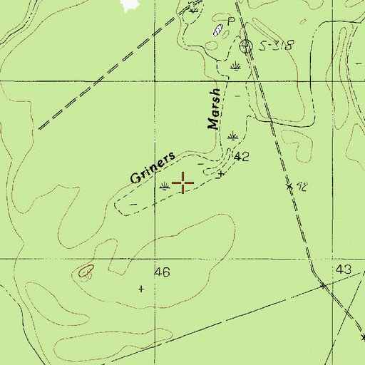 Topographic Map of Griners Marsh, TX