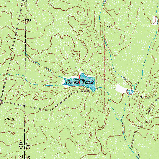 Topographic Map of Gross Tank, TX