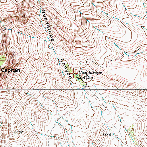 Topographic Map of Guadalupe Spring, TX