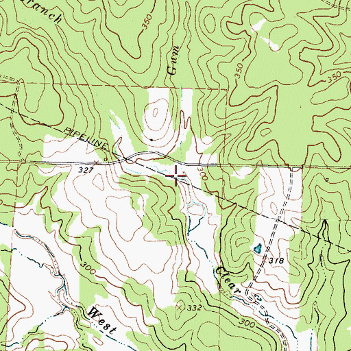 Topographic Map of Gum Branch, TX