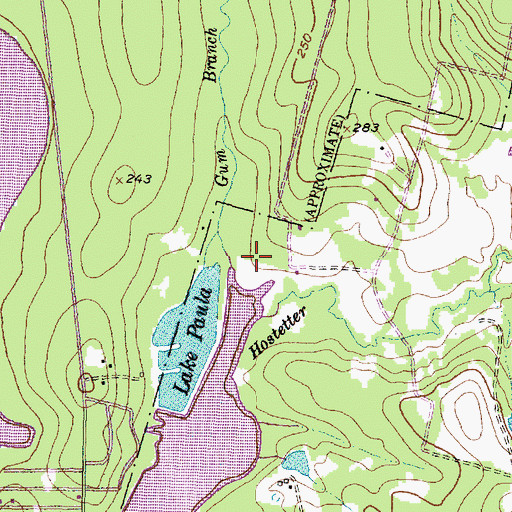 Topographic Map of Gum Branch, TX