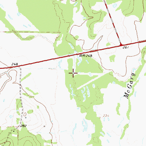 Topographic Map of Gum Branch, TX