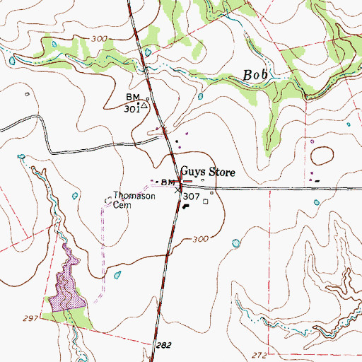 Topographic Map of Guys Store, TX